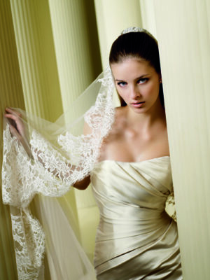 Grupo Pronovias Nº411